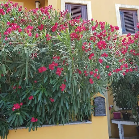 Oleandrorosso Sardegna Casa Holiday home Olbia